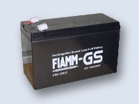 Fiamm 12FGH36 (Alte Bezeichnung: FGH20902)