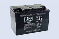 Fiamm Endurlite LM 1000