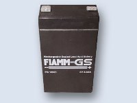 Fiamm FG10381