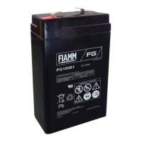 Fiamm FG10381