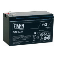 FIAMM FG20721 VdS
